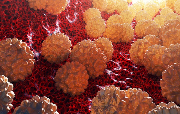 “Kẻ thù” vô hình: Chlamydia ở nữ giới và mối đe dọa vô sinh thầm lặng.