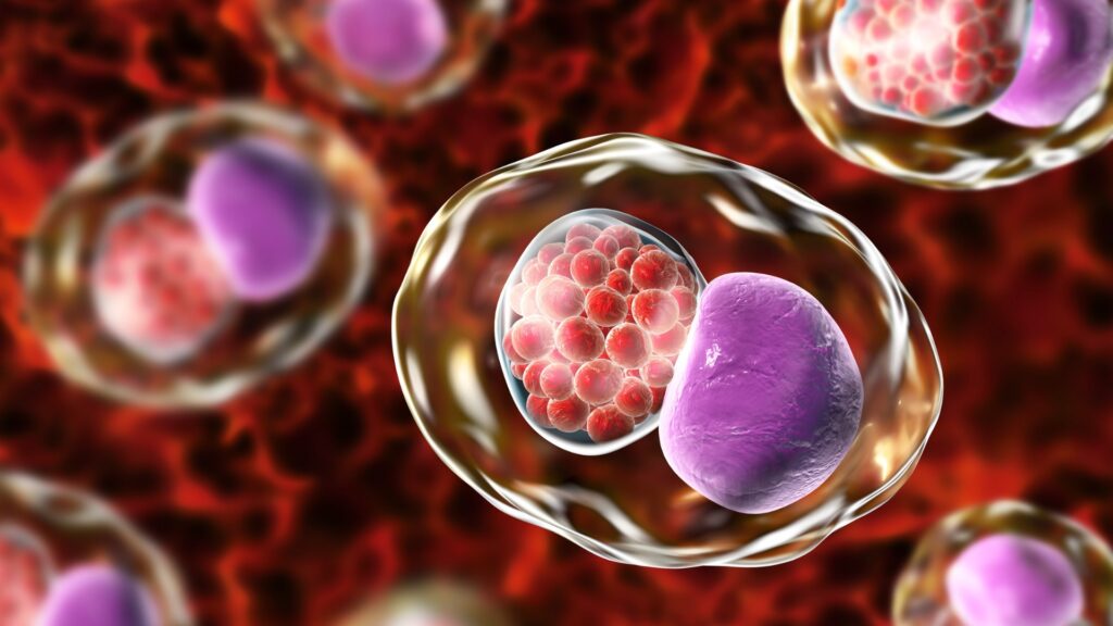 Vi khuẩn chlamydia